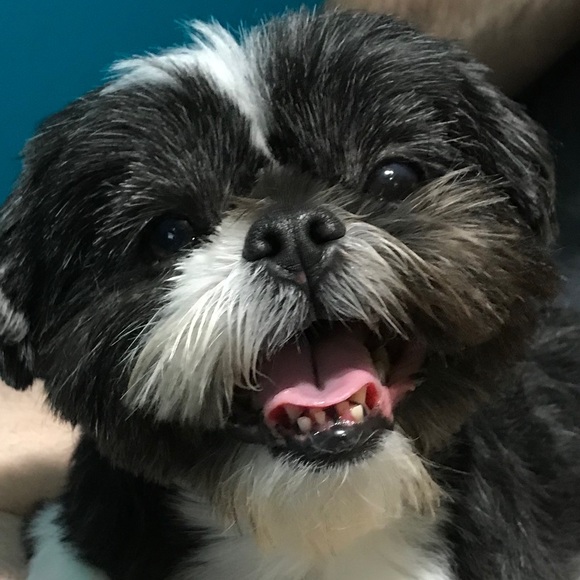 Meet your Posher, Megan - Picture 1 of 1